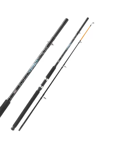 Mitchell Catch Canna da Pesca 2 sezioni Potente 100 200 gr 2.10 mt Canne da pesca Mitchell