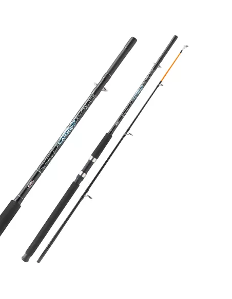 Mitchell Catch Canna da Pesca 2 sezioni Potente 100 200 gr 2.10 mt Canne da pesca Mitchell