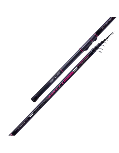 Sele Competition Canna da Pesca Bolognese in Carbonio Anelli Titanium Canne da pesca Sele