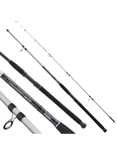 Mitchell Tanager SW Dorate Canne da Pesca Speciale Orate Canne da pesca Mitchell