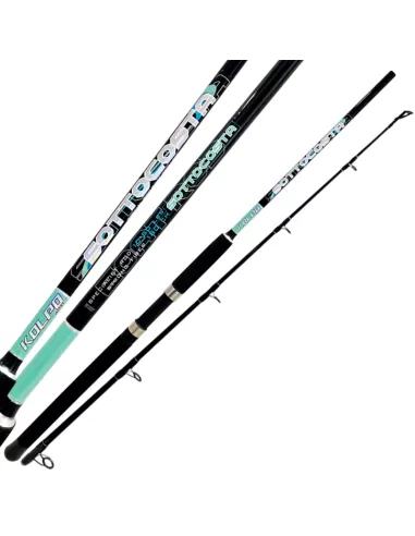 Kolpo Sottocosta Traina Bolentino Drifting Canna da Pesca Barco 2 Sezioni Canne da traina Kolpo