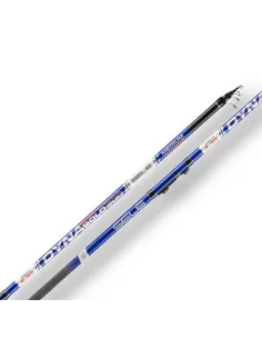 Sele Dyna Canna da Pesca Bolognese Azione Medium Canne da pesca Sele
