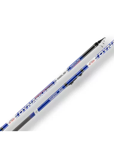 Sele Dyna Canna da Pesca Bolognese Azione Medium Canne da pesca Sele