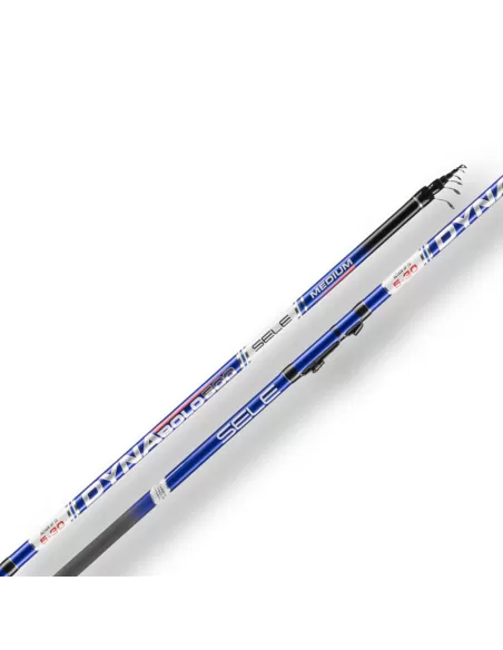 Sele Dyna Canna da Pesca Bolognese Azione Medium Canne da pesca Sele