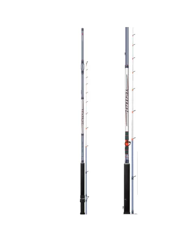 Colmic Intrepida 750 Canna da Pesca per Mulinello Elettrico Canne da pesca Colmic