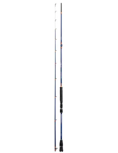 Colmic Full Shot Misaki Special Canna da Pesca al Calamaro dalla Barca Canne da pesca Colmic
