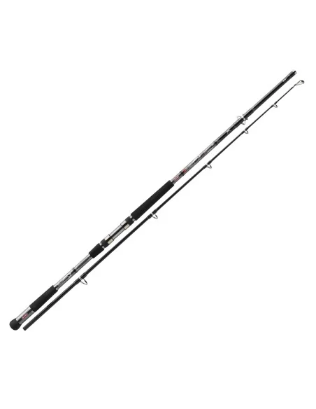 Berkley Canna Tec Cat Hunter Premium Spin Canne da pesca Berkley