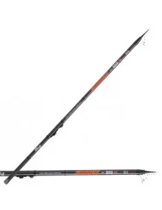 Canna da pesca Bolognese Winner Canne da pesca Sele