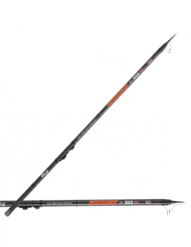 Canna da pesca Bolognese Winner Canne da pesca Sele