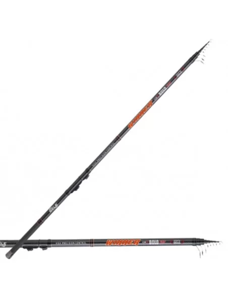 Canna da pesca Bolognese Winner Canne da pesca Sele