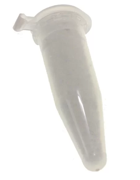 Ancient Pasture Exalt Fishing Taste Activator