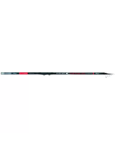 Canne da pesca Bolognesi In Carbonio Genius 5mt Canne da pesca Sele