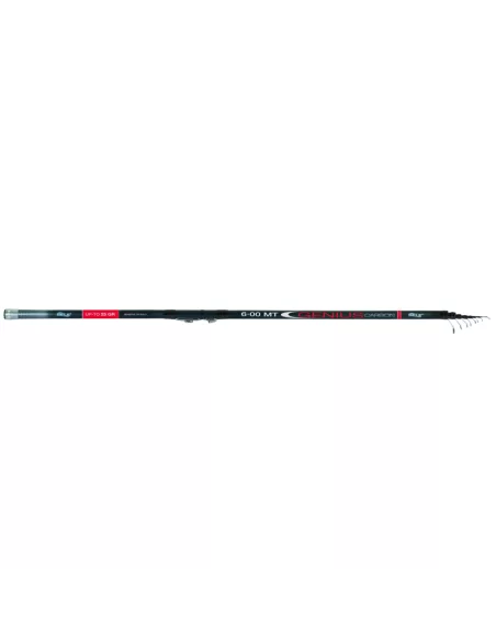 Canne da pesca Bolognesi In Carbonio Genius 5mt Canne da pesca Sele