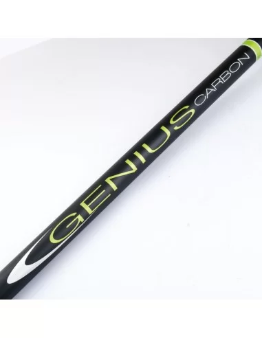 Canne da pesca Bolognesi In Carbonio Genius 5mt Canne da pesca Sele