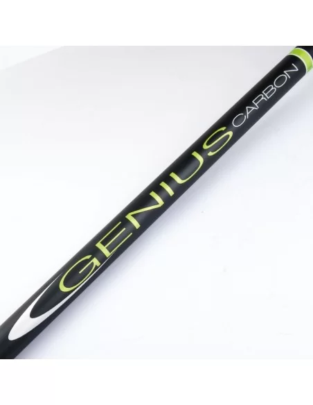 Canne da pesca Bolognesi In Carbonio Genius 5mt Canne da pesca Sele