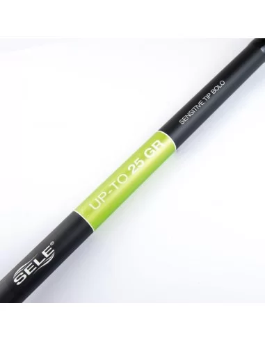 Canne da pesca Bolognesi In Carbonio Genius 5mt Canne da pesca Sele