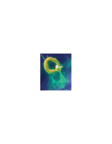 Ancient Pasture Matriosca Tondo Eva Baits