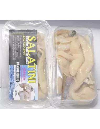 Kit Activators trout fishing: blood, firing pellets, ami, pasta, pellets, feeder, Razor Clams