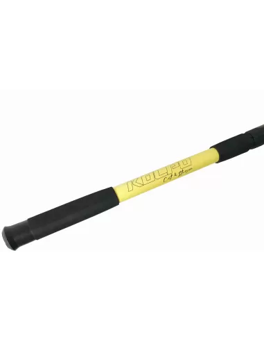 Kolpo Brutale Canna da Pesca Storione Siluro 200 600 gr 3 mt Canne da pesca per professionisti e principianti Kolpo