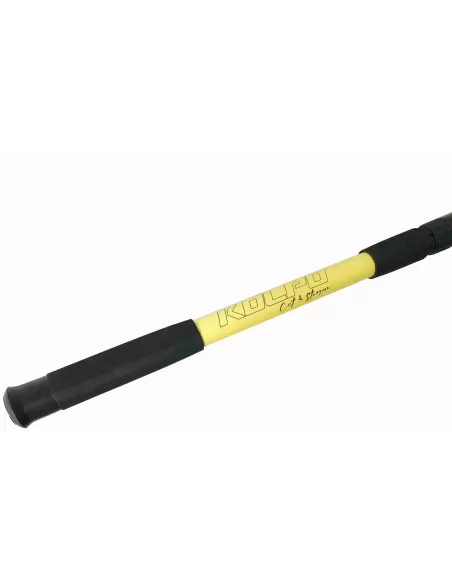 Kolpo Brutale Canna da Pesca Storione Siluro 200 600 gr 3 mt Canne da pesca per professionisti e principianti Kolpo