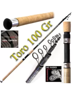 Canna da pesca - Toro 100gr Canne da pesca Lineaeffe