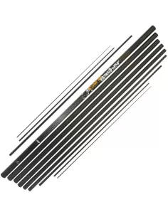 Ngt Canna Roubaisienne with Carbon Grafts 11 mt  2