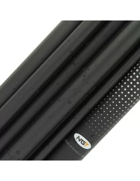 Ngt Canna Roubaisienne ad Innesti in Carbonio 11 mt