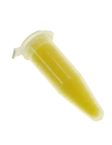 Ancient Pasture Exalt Fishing Taste Activator