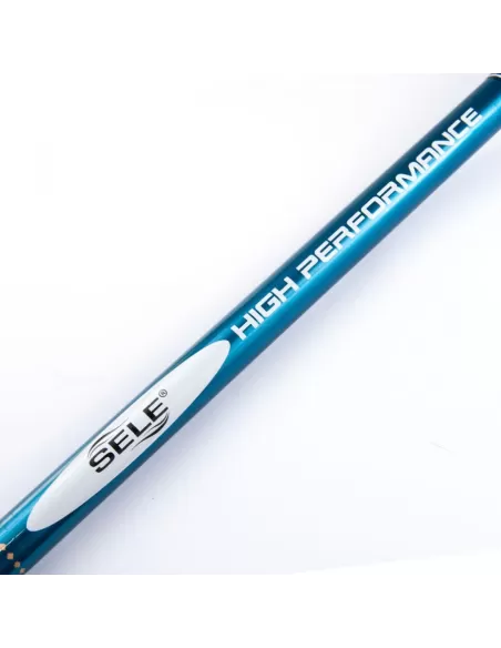 Canne da Pesca Trota Lago Extration Trout Canne da pesca Sele