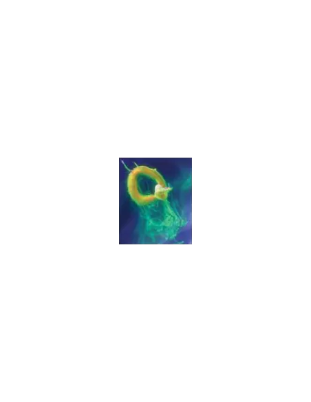 Ancient Pasture Matriosca Tondo Eva Baits