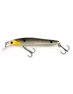 Lineaeffe Total Minnow Floating 10 cm 8 gr Esche Artificiali Lineaeffe 2