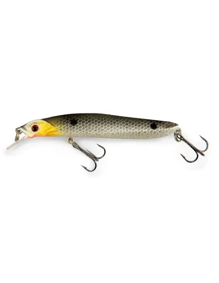 Lineaeffe Total Minnow Floating 10 cm 8 gr Esche Artificiali Lineaeffe