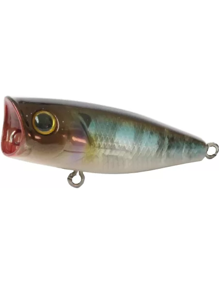 Kolpo Argo Popper Pesca Light Spinning 45 mm 4.3 gr Esche Artificiali Kolpo