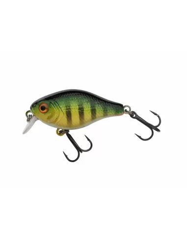 Berkley Pulse Fry Shallow Artificiale da Spinning per Persico Trota Cavedano Aspide 38 mm Esche Artificiali Berkley