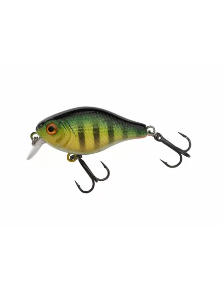 Berkley Pulse Fry Shallow Artificiale da Spinning per Persico Trota Cavedano Aspide 38 mm Esche Artificiali Berkley