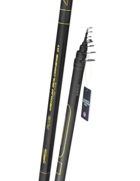Tubertini R18 Medium 01 Bolognese fishing rod Bolognese/fixed rods Tubertini