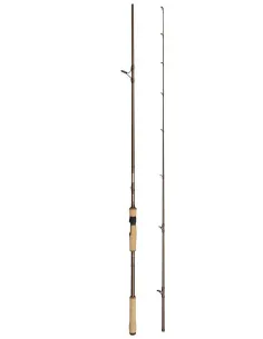 Abu Garcia Beast Pro Spinning Rod Canne Spinning Abu Garcia