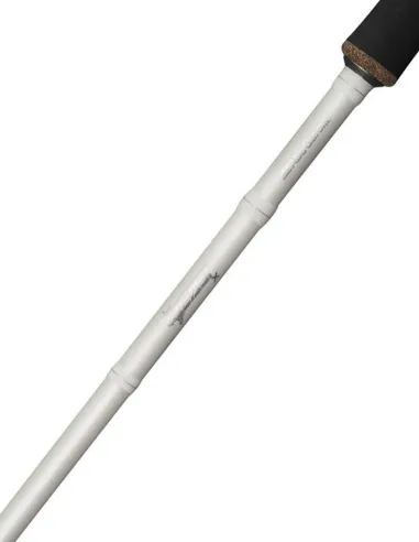 Abu Garcia Beast X Trolling Casting Rod Canne Baitcasting Abu Garcia