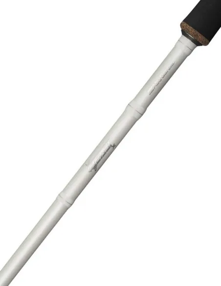 Abu Garcia Beast X Trolling Casting Rod Canne Baitcasting Abu Garcia