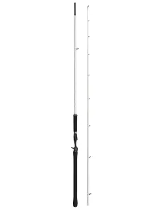 Abu Garcia Beast X Trolling Casting Rod Canne Baitcasting Abu Garcia