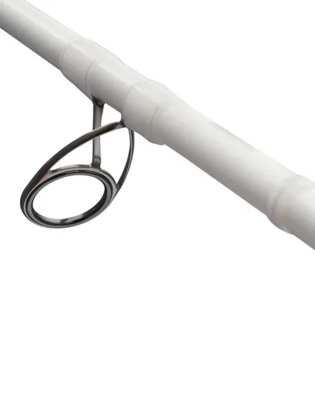 Abu Garcia Beast X Trolling Spinning Rod Canne Spinning Abu Garcia