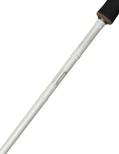 Abu Garcia Beast X Trolling Spinning Rod Canne Spinning Abu Garcia 2