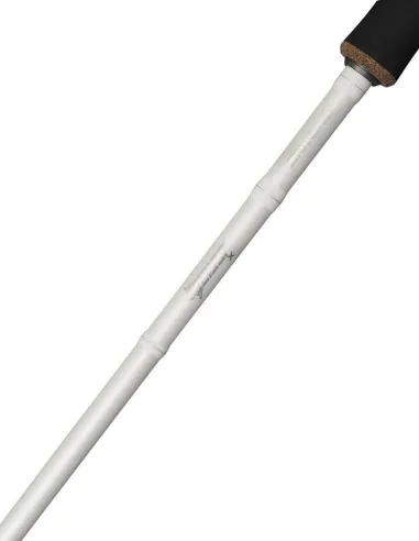 Abu Garcia Beast X Trolling Spinning Rod Canne Spinning Abu Garcia