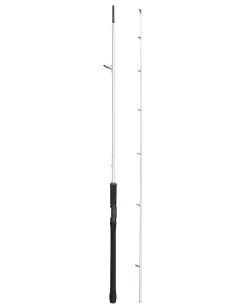 Abu Garcia Beast X Trolling Spinning Rod Canne Spinning Abu Garcia