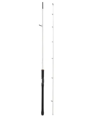 Abu Garcia Beast X Trolling Spinning Rod Canne Spinning Abu Garcia