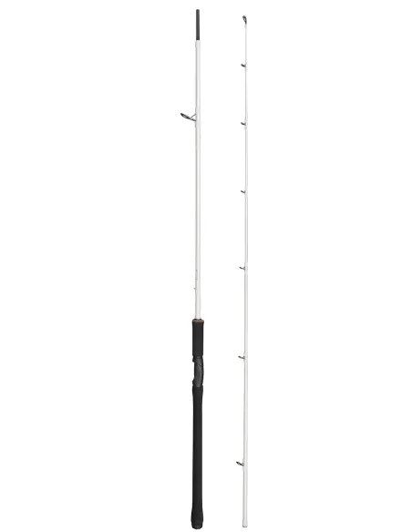 Abu Garcia Beast X Trolling Spinning Rod Canne Spinning Abu Garcia
