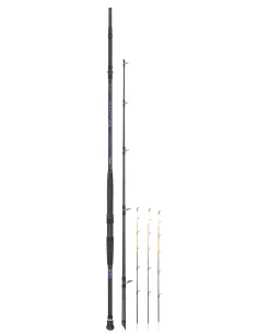 Tubertini Atlantic 2 canna da pesca bolentino drifting 1000gr Canne da Bolentino Tubertini