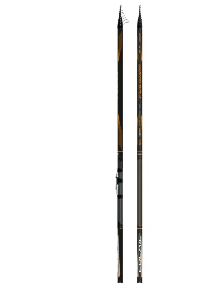 Colmic Fusion 200 Canna da pesca Bolognese 20 g Canne bolognesi/fisse Colmic