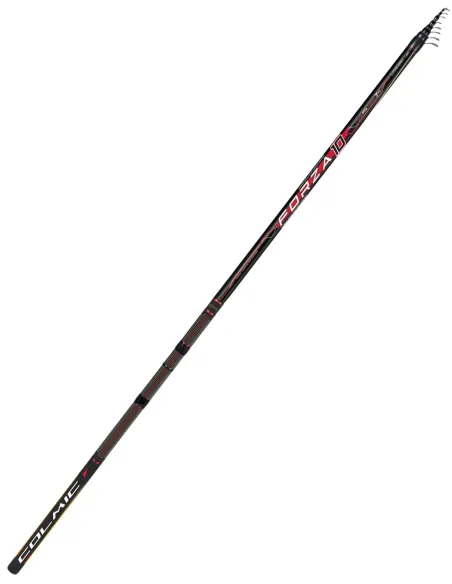 Colmic Forza 10 Canna da pesca Bolognese 80 g Canne bolognesi/fisse Colmic