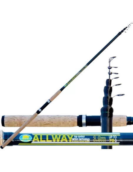 Kit Pesca Bolognese Tuttofare Canna + Mulinello + Filo Kit da pesca Lineaeffe